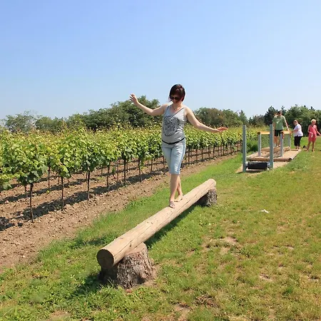 Hostal Hostel Valtice